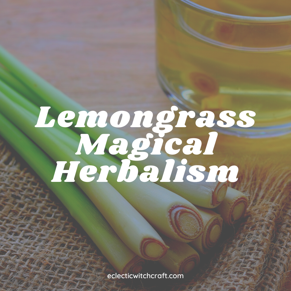 Lemongrass Magical Herbalism