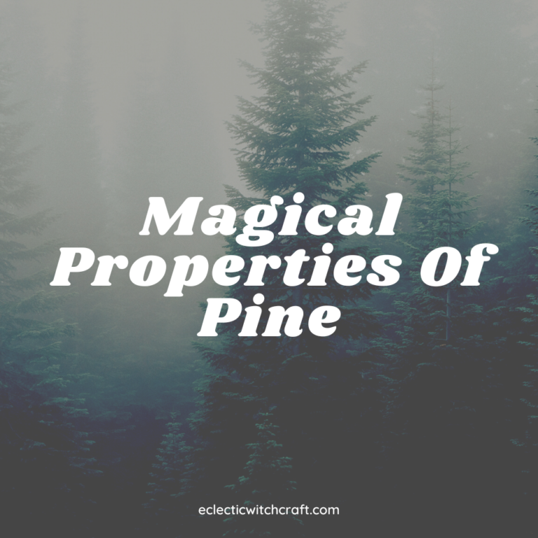 Magical Properties Of Pine