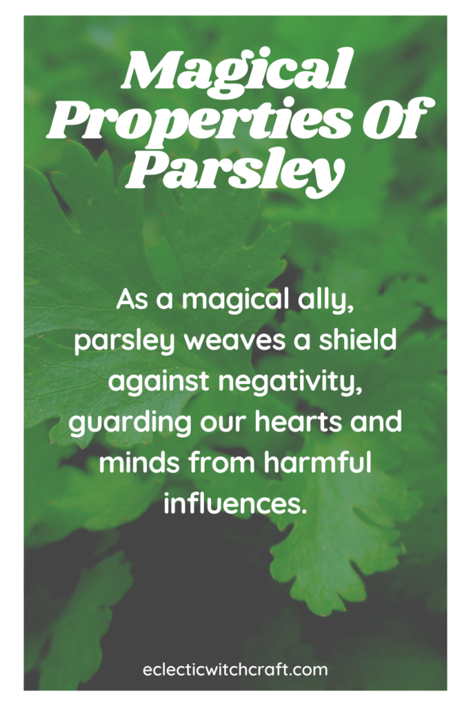 Meaning of parsley