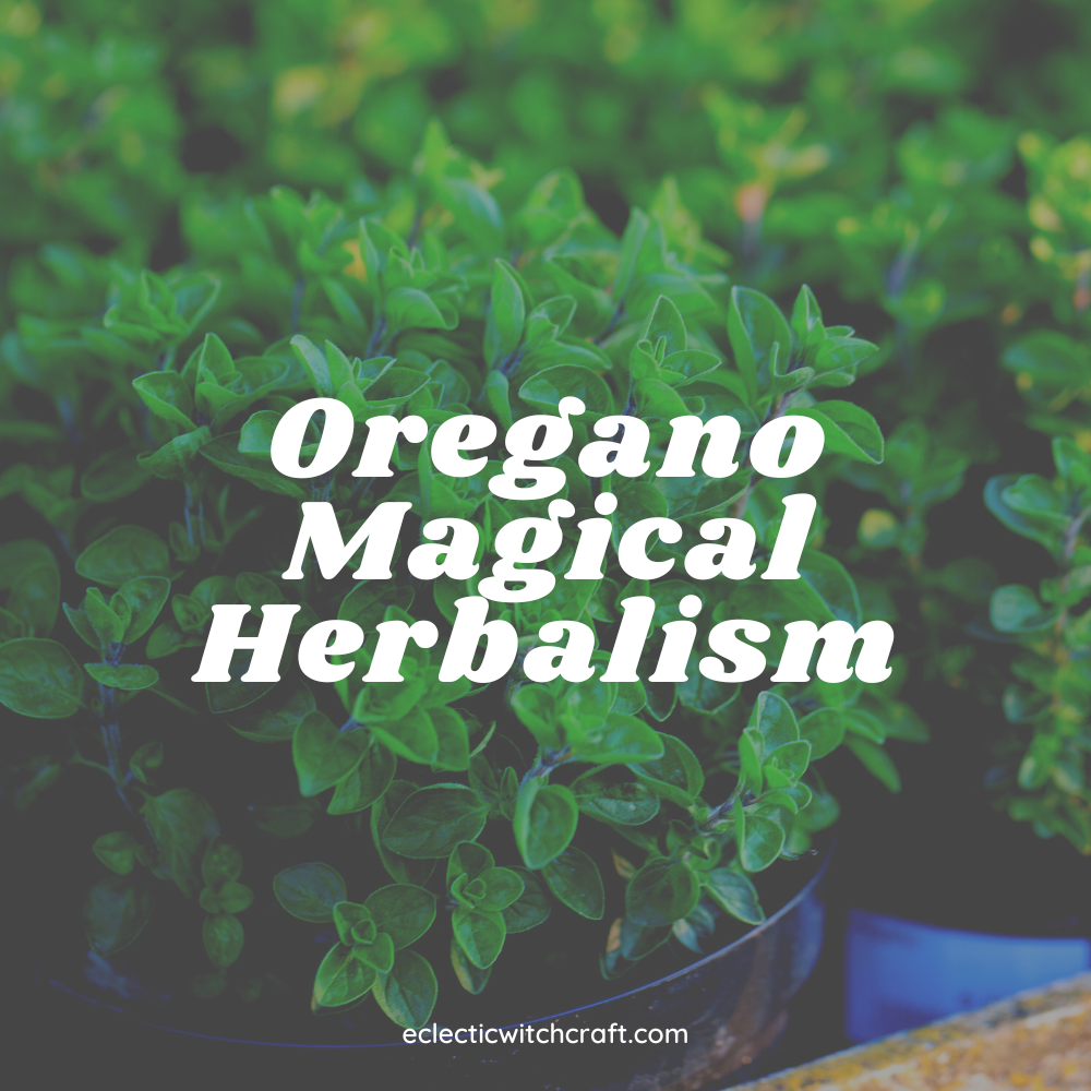 Oregano Magical Herbalism