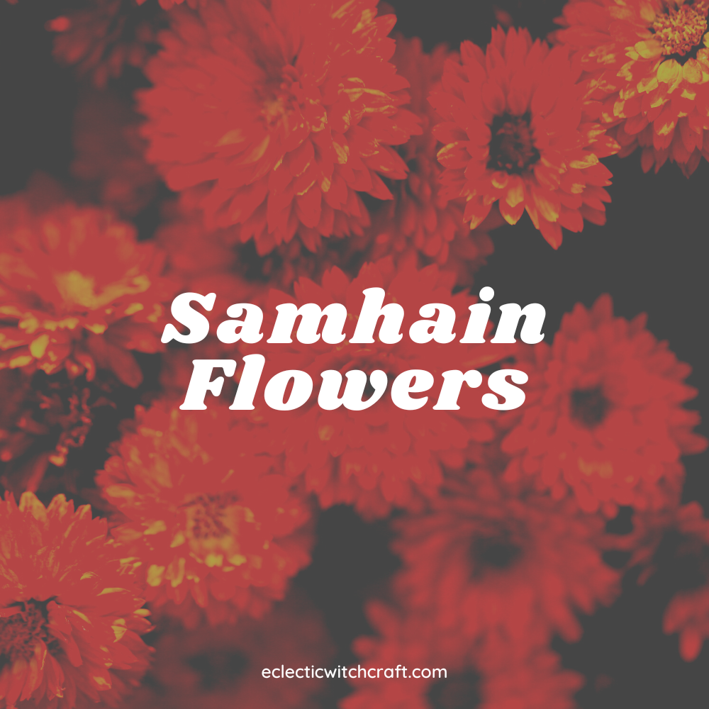 Samhain Flowers