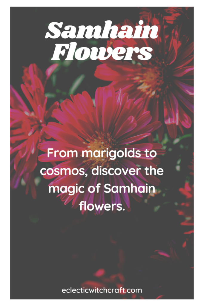 Samhain flowers for altars