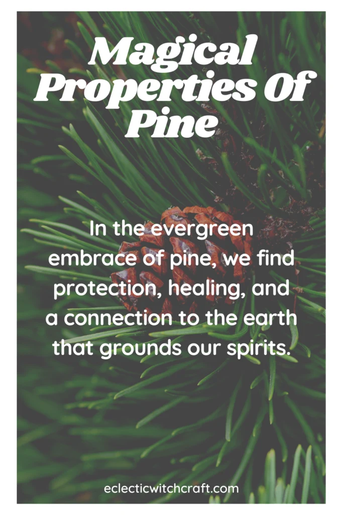 Spiritual meaning of pine cones