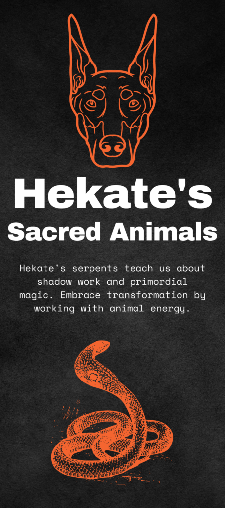 Black dogs and crows for Hekate