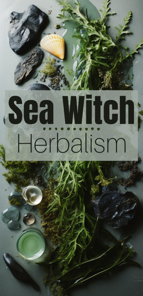 Sea witch herbs