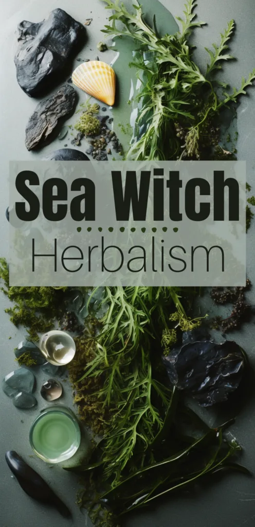 Sea witch herbs