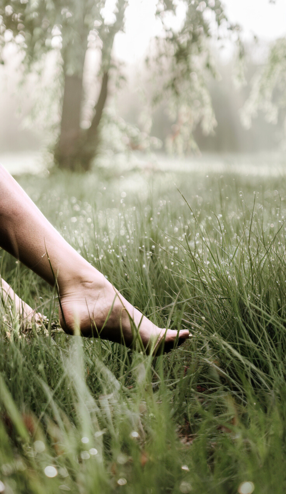 Bare feet rest softly on dew-covered grass surrounded by a peaceful, sunlit meadow. Highlights a morning grounding ritual and holistic morning routine, connecting with nature for energy healing spirituality and mental and emotional health. Perfect for healthy lifestyle inspiration and vision board photos.