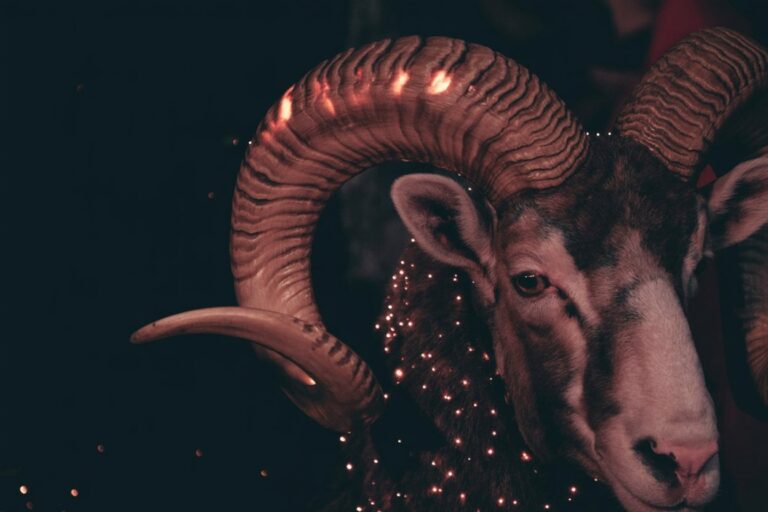 A ram gazes directly forward, its massive curved horns filled with starfield and glowing ember-light, transforming the animal into living constellation. The ram is Aries made manifest—the direct symbol of the sign and the literal embodiment of charging forward energy. The horns' spiral geometry represents accumulated power ready for release, while the animal's unwavering forward gaze encodes the Aries pattern of focusing on the goal and moving toward it without hesitation or deflection.
